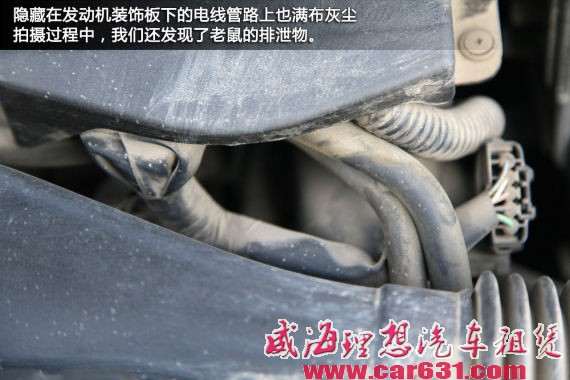 爱车成为“小清心” 发动机舱清洁作业