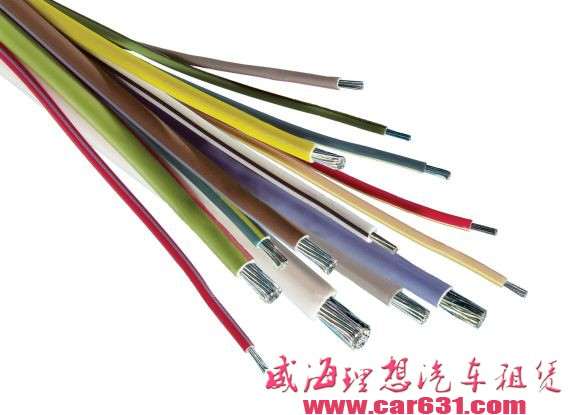 绿色驱动未来 德尔福绿色技术解析-威海理想租车 绿色驱动未来 德尔福绿色技术解析-威海理想租车