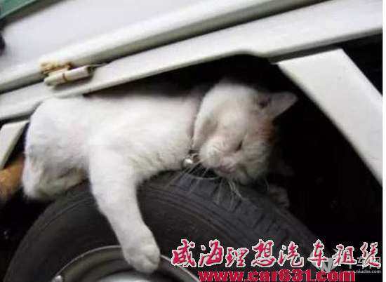 给爱车一份暖心指导  冬季用车那些事儿