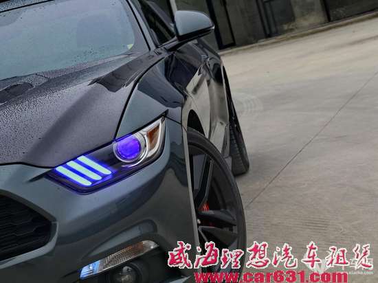 放心去玩吧 第六代野马(2.3T)四百匹轻改示范