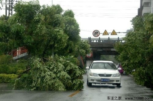 热带气旋来临 教你台风天出行驾驶技巧